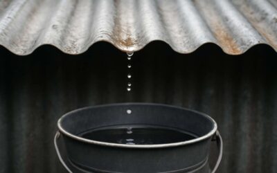 Stop the Drips Now: Practical Guide to Address roof sheet leakage and Protect Your Home